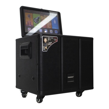 2024 TEMEISHENG Best Seller USA Portable Karaoke KTV Party PA System with High Quality Powered Amplifier