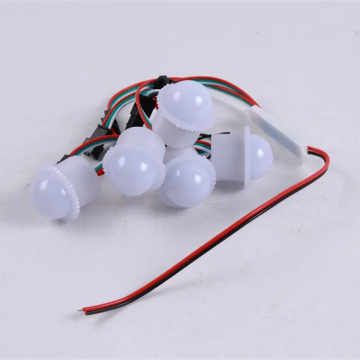 RGB DC12V Auto-Program LED Pixel IP67 DMX512 Color Point Light for Outdoor Amusement Park Lighting