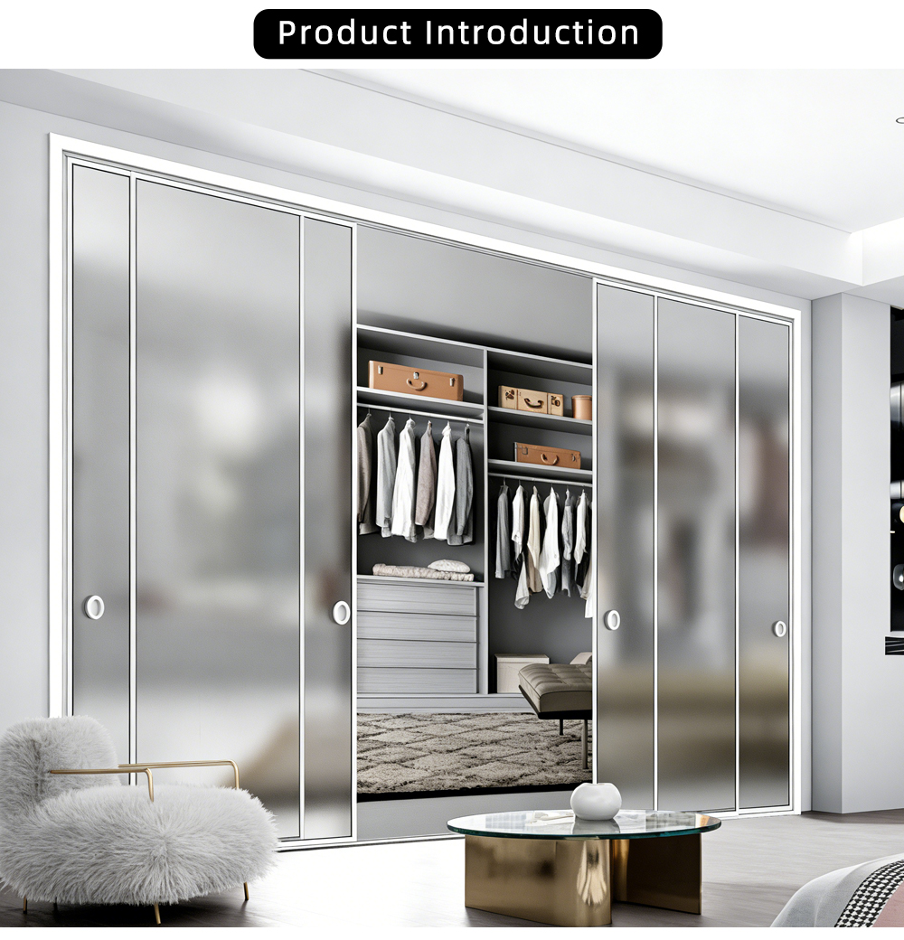 Frosted Glass Wardrobe Sliding Door YJ-R015