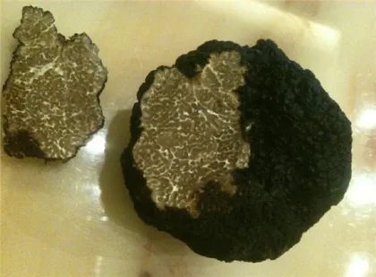 Delicious Wild Black Truffle Mushroom Hot Sale                        
                                                Quality Choice