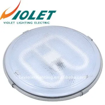 Fluorescent Ceiling Lighting Fixture 1x55W 2D Lamp