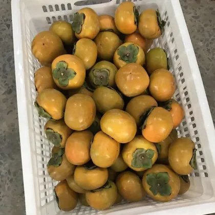 Fresh Sweet Persimmon Health