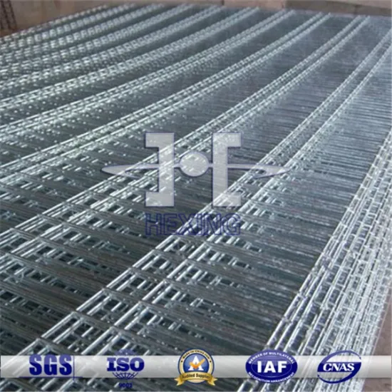3/4" 1/2" 1" 1/4" 3/8" Galvanized Welded Wire Mesh Roll