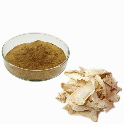 Natural Organic Anti-Oxidant Angelica Radix Extract