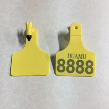 middle Feedlot Tags  for calf
