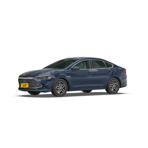 BYD Qin Plus EV 600 km emblematic New Energy Sedan