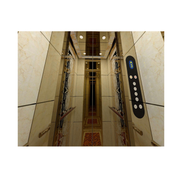 Penjualan Panas Desain Mewah Villa House Lift Penumpang Lift Dengan Harga Murah