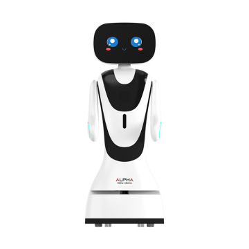 Face Recognition Roboter: Automatische Ladewerbung und Service -Roboter für Einkaufszentren