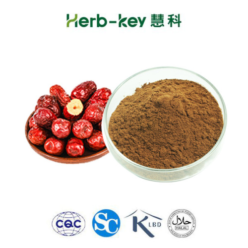 Organic Jujube Extract Powder Jujube Polysaccharide Fructus Jujubae Extract 30% Factory