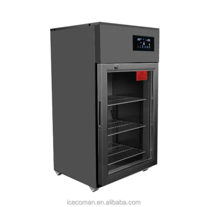 Commercial Automatic Yogurt Machine for Rice Wine, Natto, and Fermented Foods