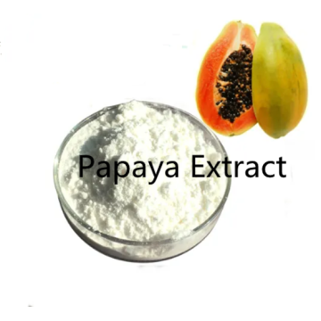 Factory Price Papaya Extract Ingredients Powder Supply