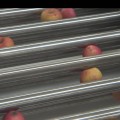 Machine de classement des fruits en acier inoxydable