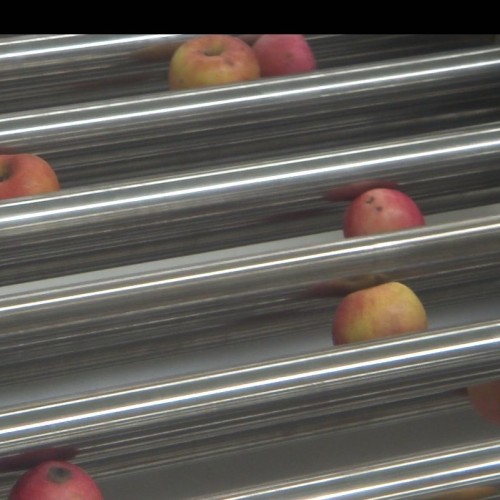 Máquina de clasificación de frutas de acero inoxidable