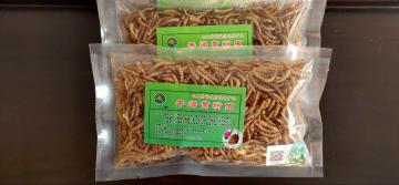 pets feed of yellow mealworm