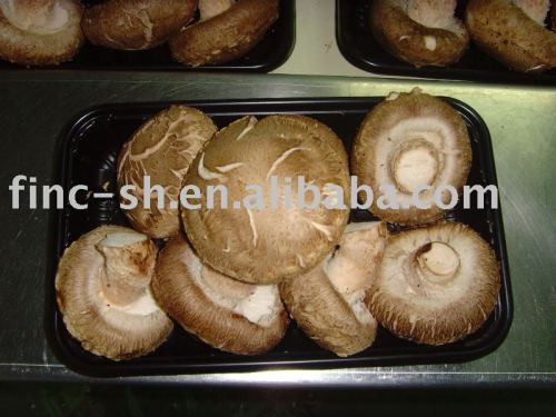 fresh shiitake mushrooms