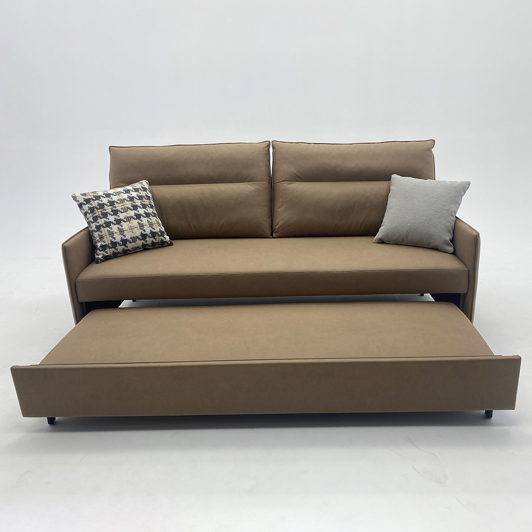 Pull Out Queen Sofa Bed