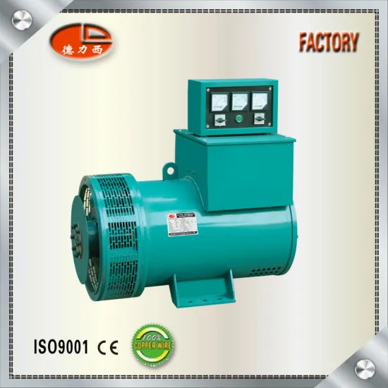 Delixi 100% Copper Wire TZH Three Phase AC Sychronous Generator Alternator
