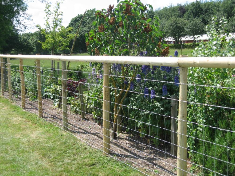 Field Livestock Wire Grassland Fence