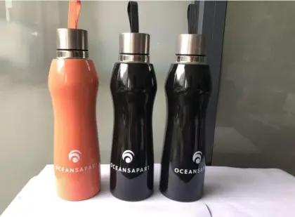 500ml Double Wall Insulated Yogo Water Bottle
