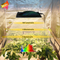 Led Grow Light Indoor Plant