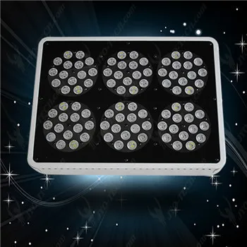 Apollo led grow light