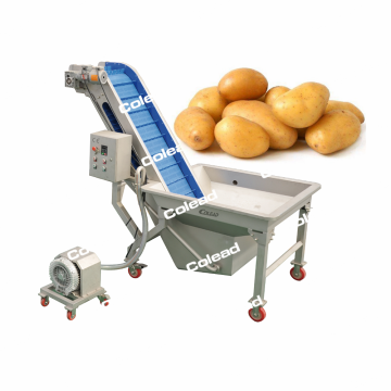 Industrial vegetable transport conveyor for food