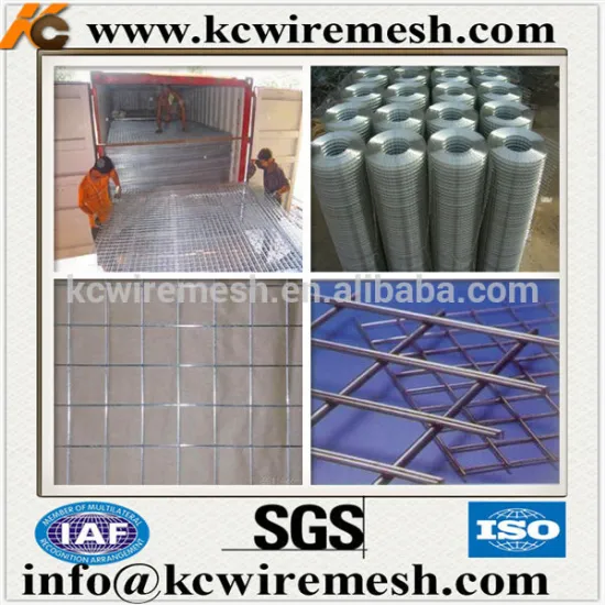 304 304L 316 316L Stainless Steel Welded Wire Mesh