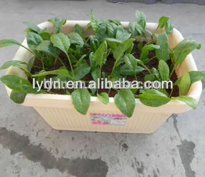 expanded clay pebbles used in vertical garden roof garden clean clay soil