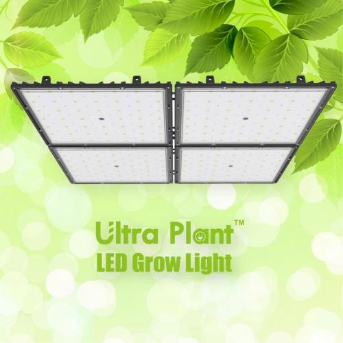660nm LED Grow Light Çiçeklenme için