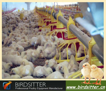 Poultry automatic pan feeding systems for chicken