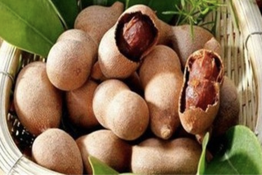 Tamarindus Indica Extract