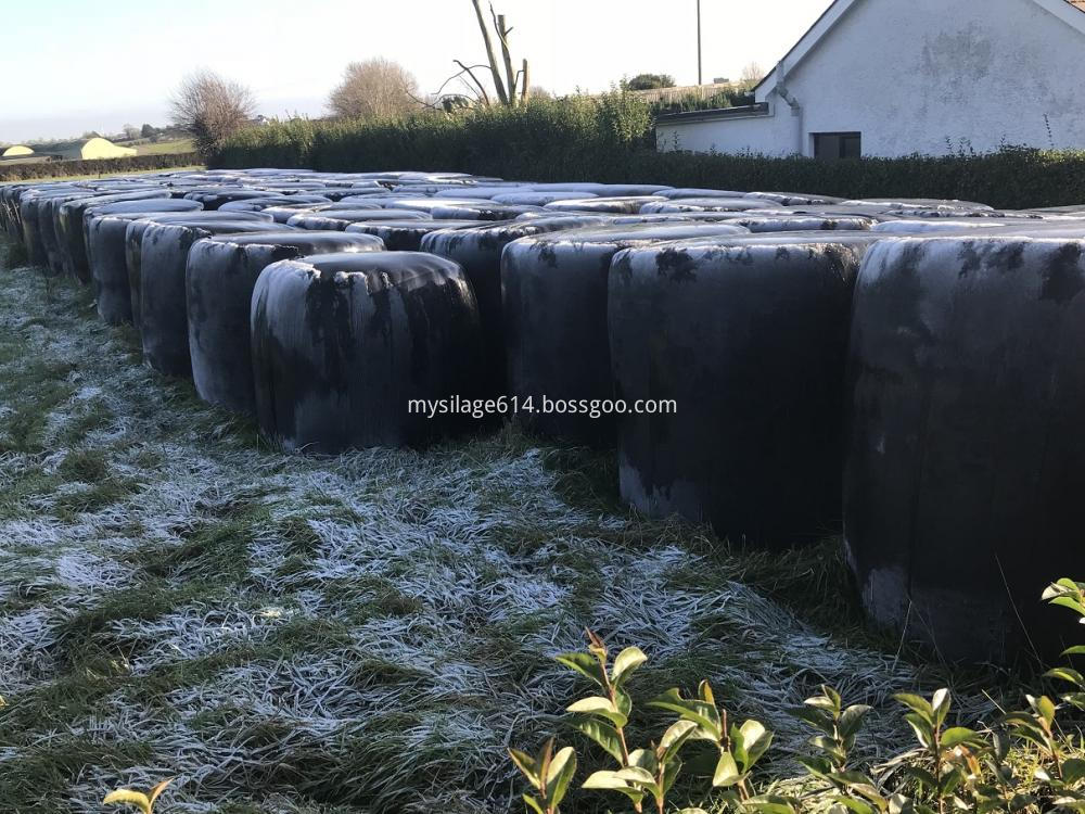 Silage Wrap Film