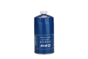Auto Parts Fuel Filter 612600080934 for Weichai