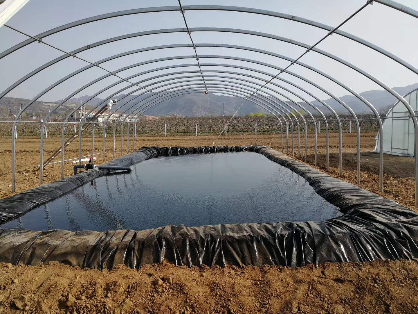 fish pond liner