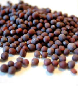 Quality Black Mustard Seeds