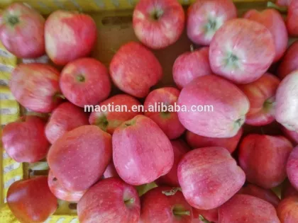 2017 Fresh Red Star Apple