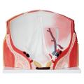 /msite/products/detail/productid/63604415/id/1517769.html