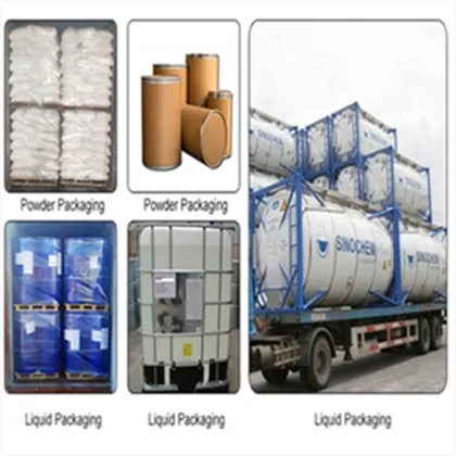 Best price high purity dendrobium extract dendrobium nobile