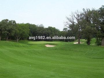 Golf Putting Mat
