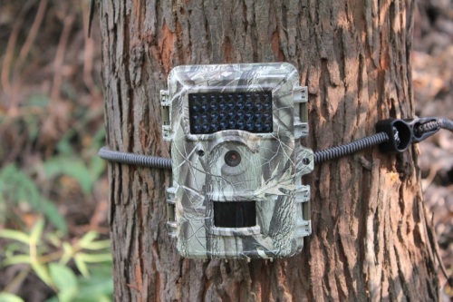 Telecamera da caccia per la sorveglianza di sentieri all&#39;aperto