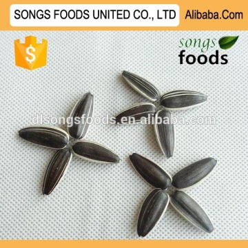 Hot Sale drying sunflower seeds