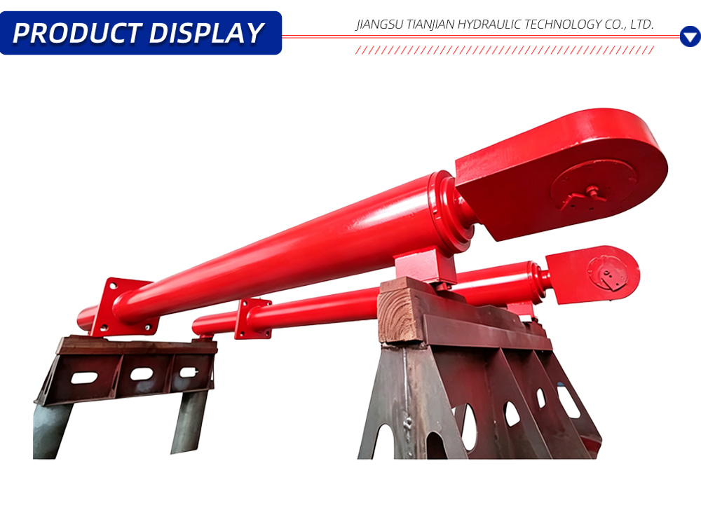 Large Bore Industrial Cylinder X