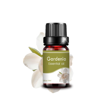 Logotipo personalizado de alta calidad Gardenia Gardenia Gardenia