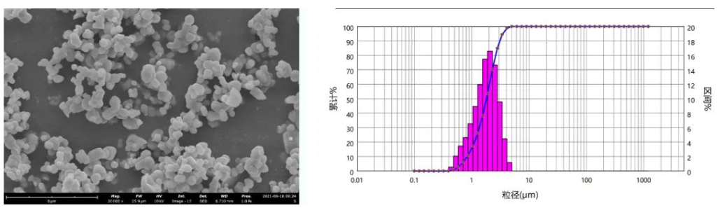 Morphology and particle size distribution of aluminum nitride AlN powder