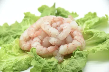 Frozen Red Shrimp Peeled Undeveined Cleaned Eu Treated