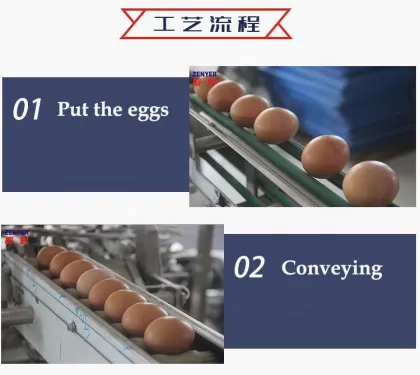 Large Scale Egg Yolk Egg White Separator