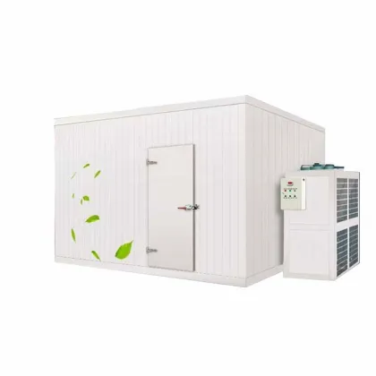 Roixue Mini Cold Storage and Walk-In Cooler for Sale" 

(Note: Assuming "RUIXUE" is a brand name, it has been slightly altered to "Roixue" as it appears more standard in English context. If "RUIXUE" is intentionally kept in uppercase, please use "RUIXUE" 