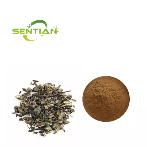 Black Cohosh Extract Benetits