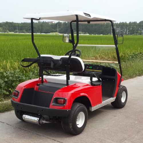 two seats 3000cc gas golf cart for sale