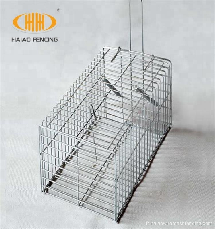 Cage de piège à pigeon vivant pliable et pliant cage à oiseaux